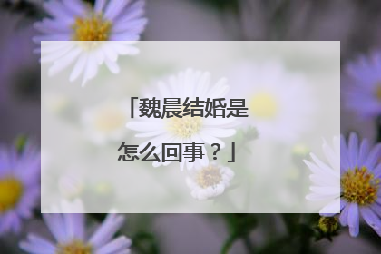 魏晨结婚是怎么回事?
