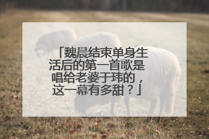 魏晨结束单身生活后的第一首歌是唱给老婆于玮的,这一幕有多甜?