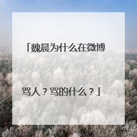 魏晨为什么在微博骂人？骂的什么？