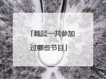 魏晨一共参加过哪些节目