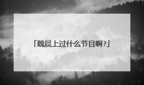 魏晨上过什么节目啊?