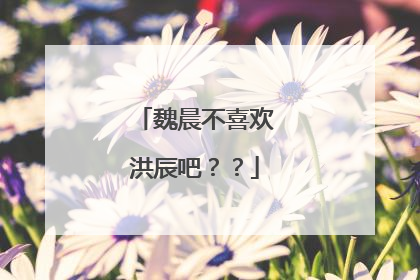 魏晨不喜欢洪辰吧??