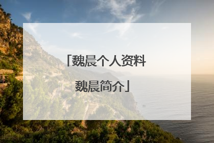 魏晨个人资料 魏晨简介