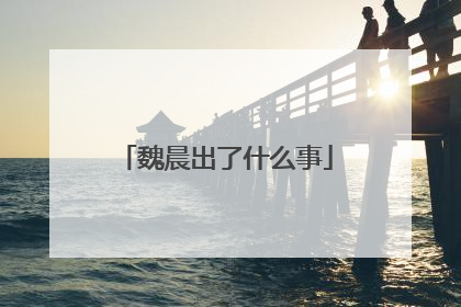 魏晨出了什么事