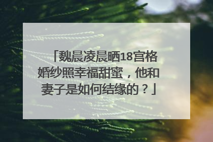 魏晨凌晨晒18宫格婚纱照幸福甜蜜，他和妻子是如何结缘的？