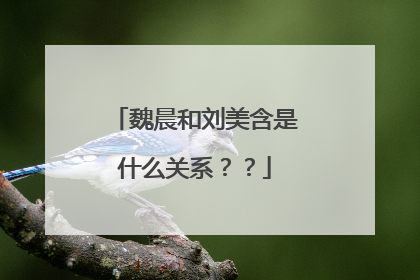 魏晨和刘美含是什么关系？？