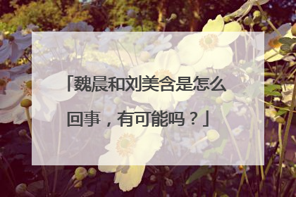 魏晨和刘美含是怎么回事，有可能吗？