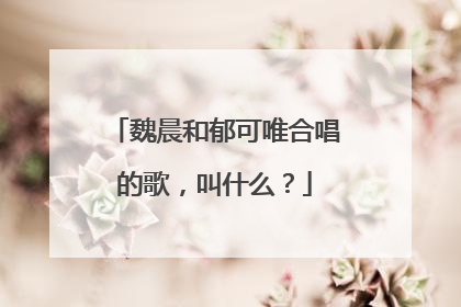 魏晨和郁可唯合唱的歌,叫什么?