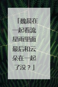 魏晨在一起看流星雨里面最后和云朵在一起了没？