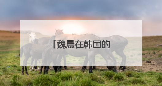 魏晨在韩国的公司是哪个?