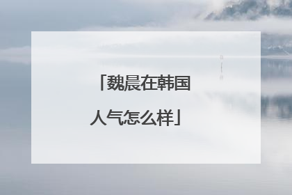 魏晨在韩国人气怎么样