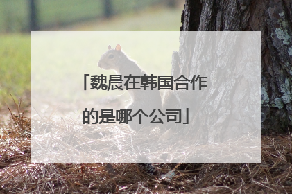 魏晨在韩国合作的是哪个公司