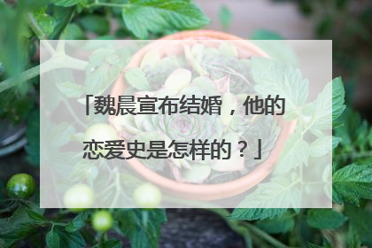 魏晨宣布结婚,他的恋爱史是怎样的?