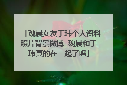 魏晨女友于玮个人资料照片背景微博 魏晨和于玮真的在一起了吗