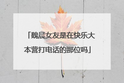 魏晨女友是在快乐大本营打电话的那位吗