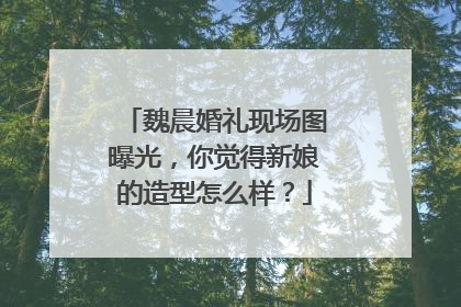 魏晨婚礼现场图曝光，你觉得新娘的造型怎么样？