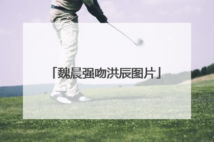 魏晨强吻洪辰图片