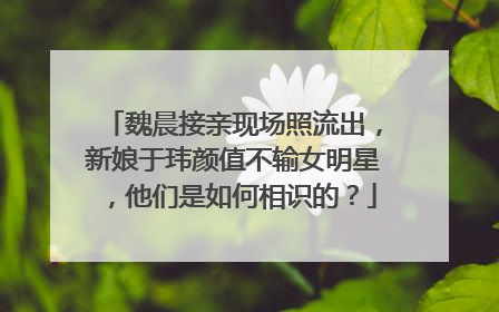 魏晨接亲现场照流出,新娘于玮颜值不输女明星,他们是如何相识的?