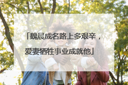 魏晨成名路上多艰辛,爱妻牺牲事业成就他