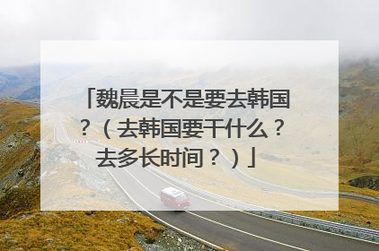 魏晨是不是要去韩国？（去韩国要干什么？去多长时间？）