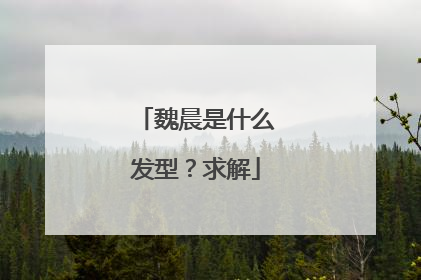 魏晨是什么发型？求解