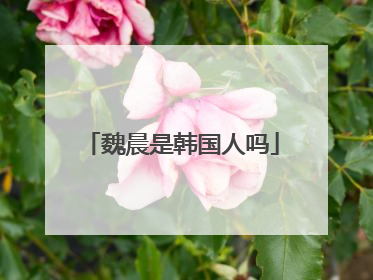 魏晨是韩国人吗