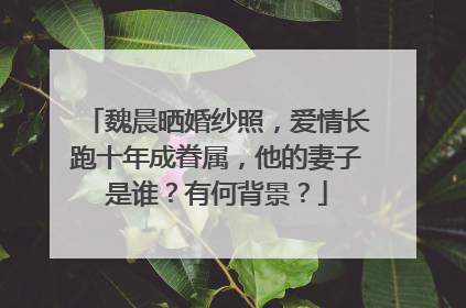 魏晨晒婚纱照,爱情长跑十年成眷属,他的妻子是谁?有何背景?
