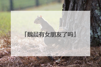 魏晨有女朋友了吗