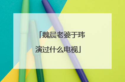 魏晨老婆于玮演过什么电视