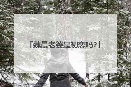 魏晨老婆是初恋吗?