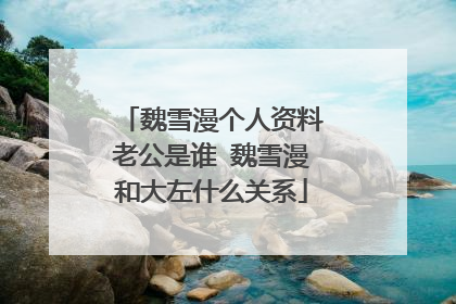 魏雪漫个人资料老公是谁 魏雪漫和大左什么关系