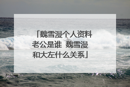 魏雪漫个人资料老公是谁 魏雪漫和大左什么关系