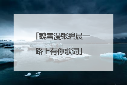 魏雪漫张碧晨一路上有你歌词