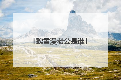 魏雪漫老公是谁