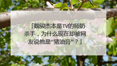 魏骏杰本是TV的师奶杀手，为什么现在却被网友说他是“猪油膏”？