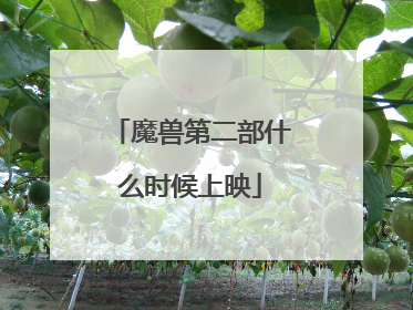 魔兽第二部什么时候上映