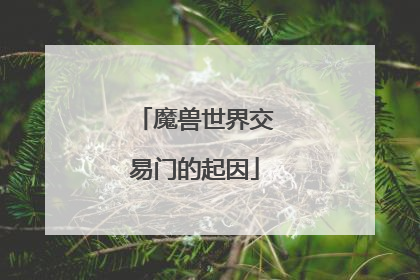 魔兽世界交易门的起因