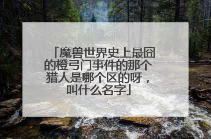 魔兽世界史上最囧的橙弓门事件的那个猎人是哪个区的呀,叫什么名字