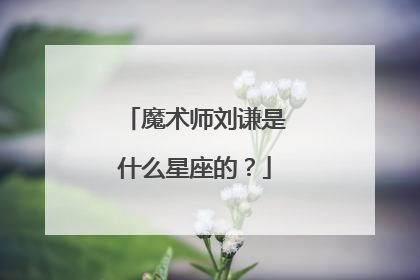 魔术师刘谦是什么星座的？
