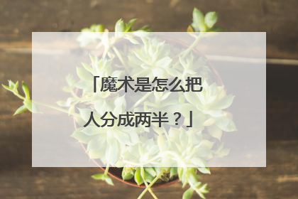 魔术是怎么把人分成两半?