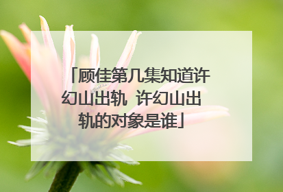 顾佳第几集知道许幻山出轨 许幻山出轨的对象是谁