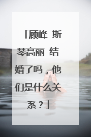 顾峰 斯琴高丽 结婚了吗,他们是什么关系?