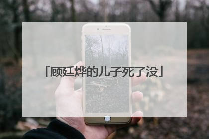 顾廷烨的儿子死了没