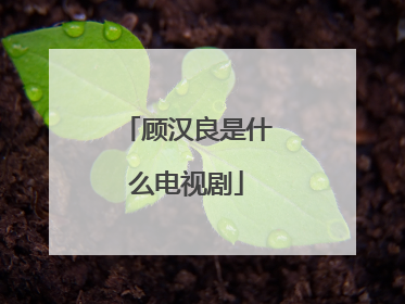 顾汉良是什么电视剧