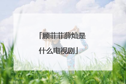 顾菲菲薛灿是什么电视剧
