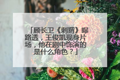 顾长卫《刺猬》曝路透,王俊凯现身片场,他在剧中饰演的是什么角色?