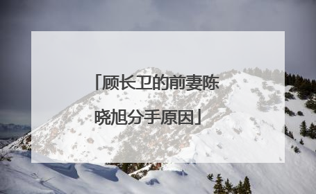 顾长卫的前妻陈晓旭分手原因