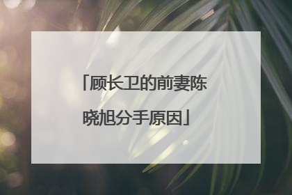 顾长卫的前妻陈晓旭分手原因