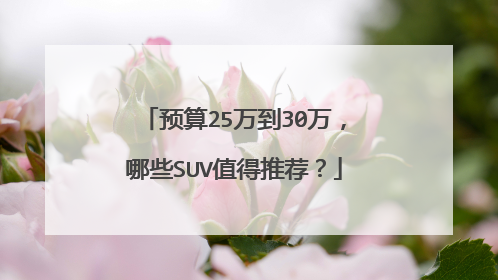 预算25万到30万，哪些SUV值得推荐？