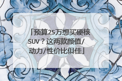 预算25万想买硬核SUV？这两款颜值/动力/性价比俱佳